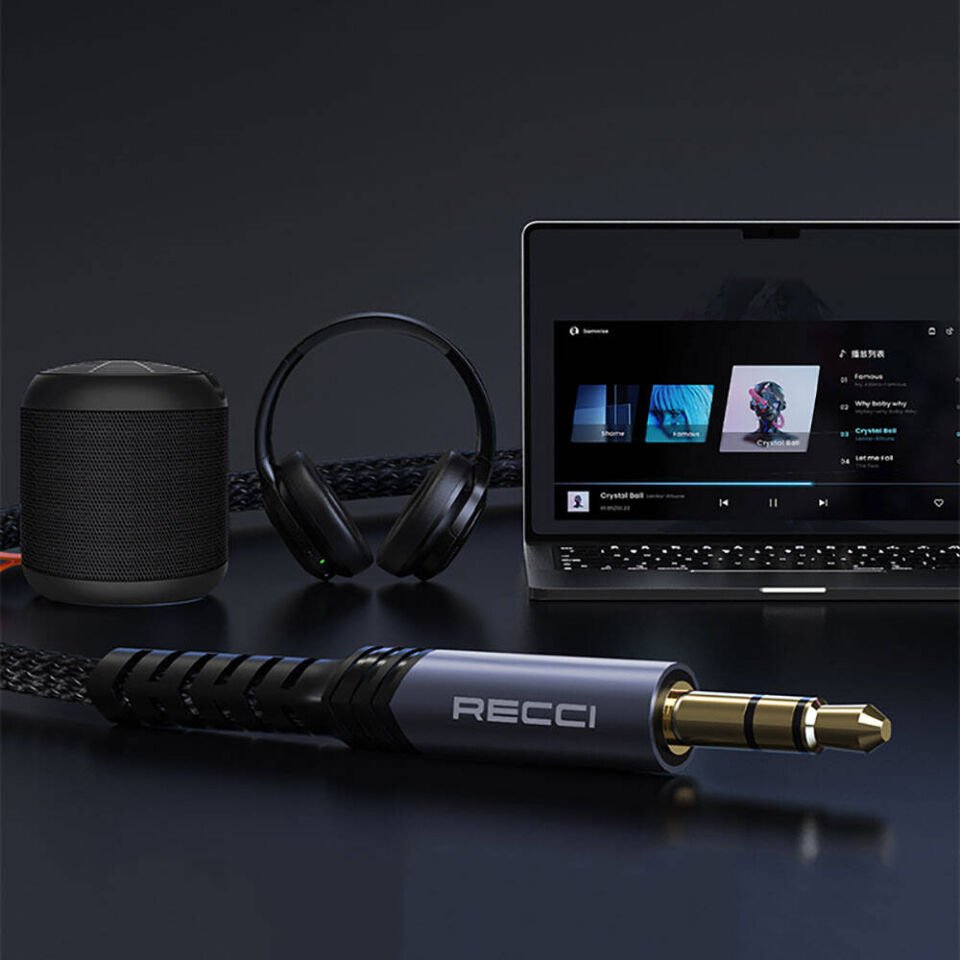 Recci RDS-A28 3.5mm to 3.5mm AUX Audio Kablo